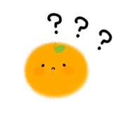855595662