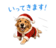 855595802