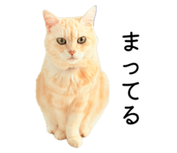855596025