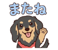 855596275