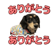 855596282
