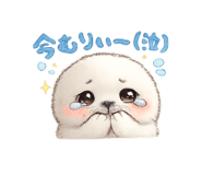855596332
