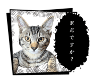 855596338