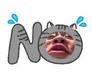 855596342