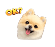 855596376