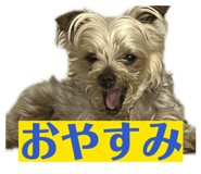 855596499