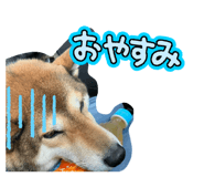 855596506