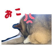 855596510