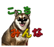855596512