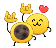 855596548