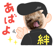 855596549