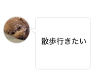 855596560