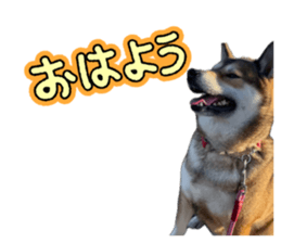 855596635