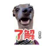855596908