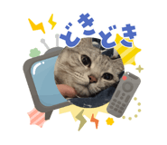 855596926