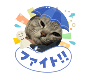 855596927