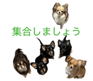 855597324