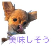 855597327