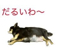 855597331