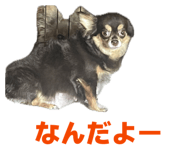 855597335