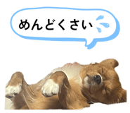 855597342