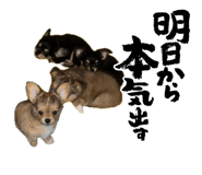 855597351