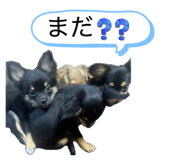 855597357