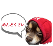 855597359