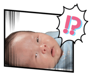 855597461