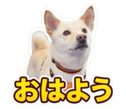 855597601