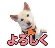 855597603