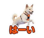 855597605