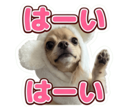 855597740