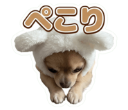 855597741