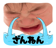 855598177