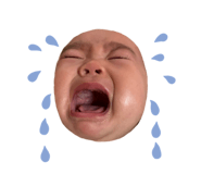 855598254