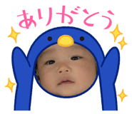 855598255