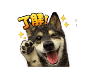 855598425