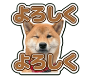 855598692