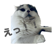 855598701