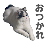 855598703