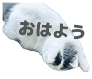 855598707