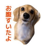 855598811