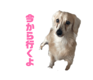855598814