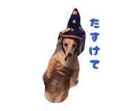 855598819