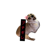 855598820