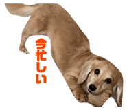 855598822