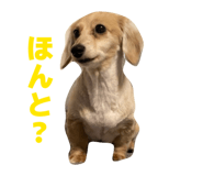 855598823