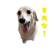 855598824