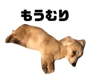 855598825